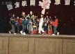 汇报 柠檬树