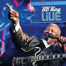 B.B.King.-.[Live.At.Montreux].演唱会