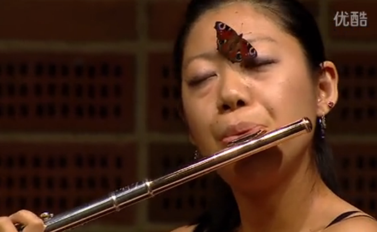 蝴蝶“扑脸”长达一分钟日本长笛选手淡定演奏